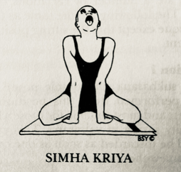 Simha Kriya - Roaring Lion Pose
