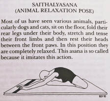 Saithalyasana